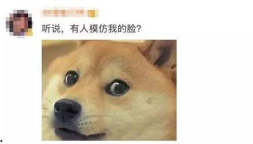 微信表情包吃瓜代表什么意思,微信表情包“吃瓜”背后的网络文化解读  第3张