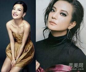 娱乐圈太太容貌大走样,揭秘美貌背后的秘密与挑战  第2张