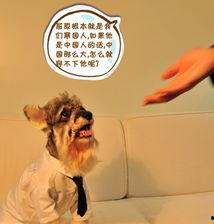 话语权搞笑,谁才是笑料之王？  第3张